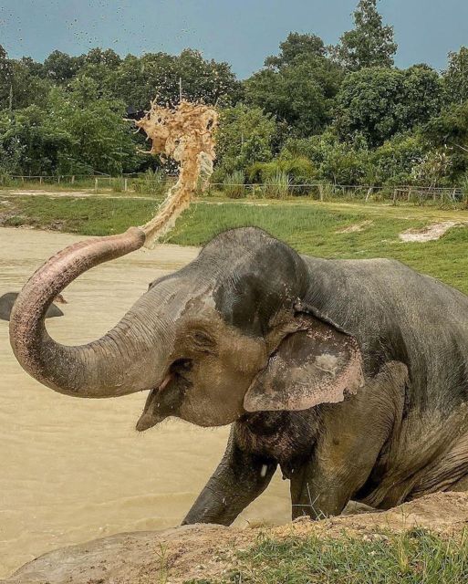 Kulen Elephant Siem Reap Forest in Small Group Tour - Environmental Impact