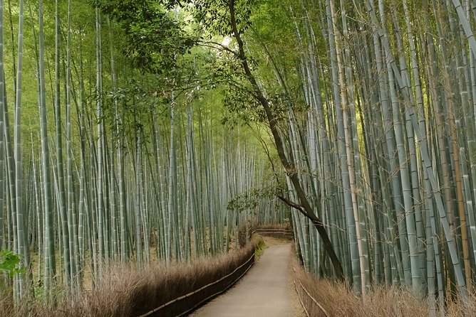 Kyoto Bamboo Forest Electric Bike Tour - Sum Up