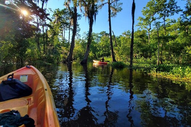Manchac Swamp Kayak Small-Group Tour - Nature Exploration and Wildlife Viewing