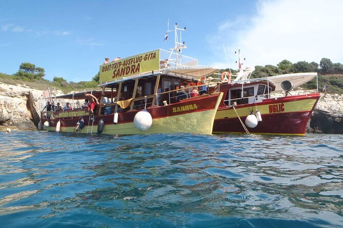 Medulin Evening Dolphin Cruise With Dinner (Mar ) - Cruise Departure Location