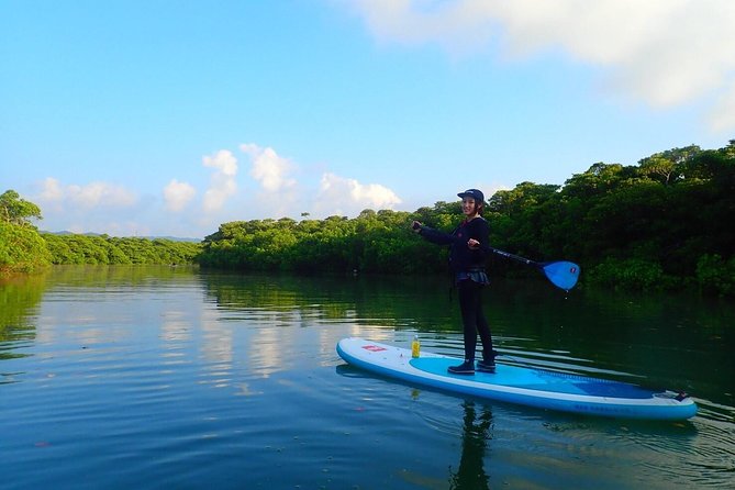 Miyara River 90-Minute Small-Group SUP or Canoe Tour (Mar ) - Sum Up