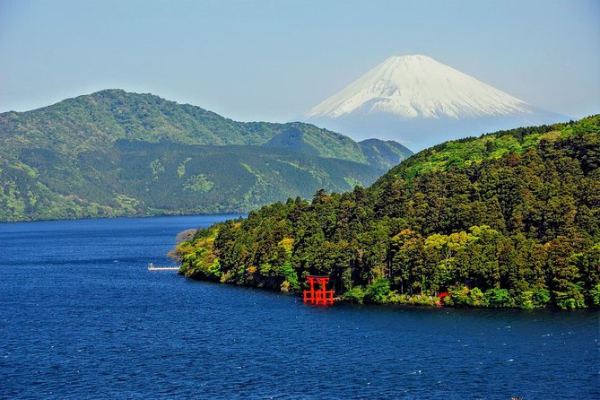 Mt Fuji and Hakone 1-Day Bus Tour Return by Bus - Value for Money