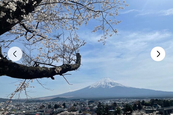 Mt. Fuji, Hakone Full-Day Private Tour With English Driver Guide - Weather-Dependent Experience Details