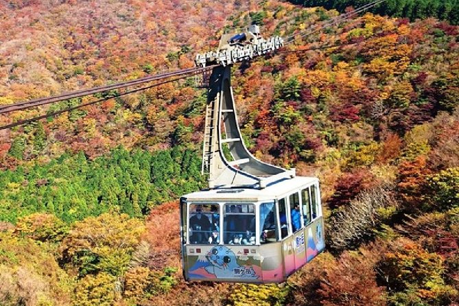 Mt Fuji, Hakone, Lake Ashi Cruise 1 Day Bus Trip From Tokyo - Common questions