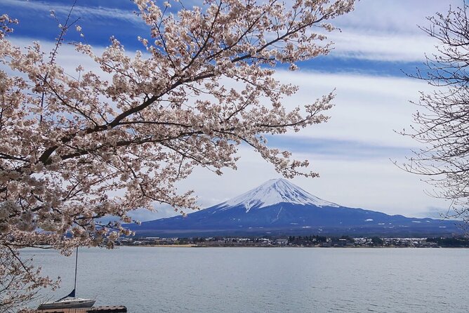 Mt. Fuji Private Tour With English Speaking Driver - Common questions