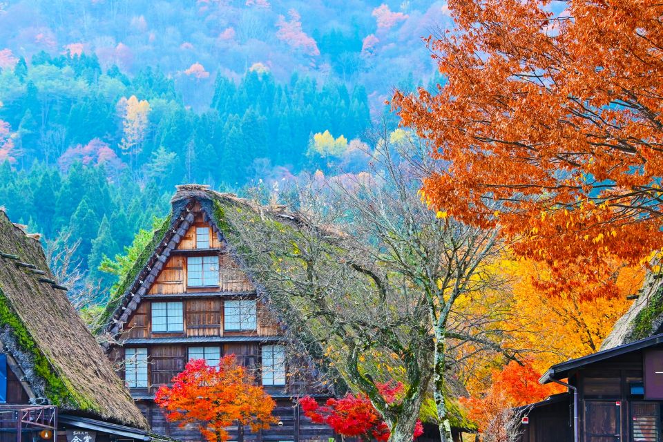 Nagoya: Hida Takayama & World Heritage Shirakawa-go Day Tour - Winter Alternative Itinerary