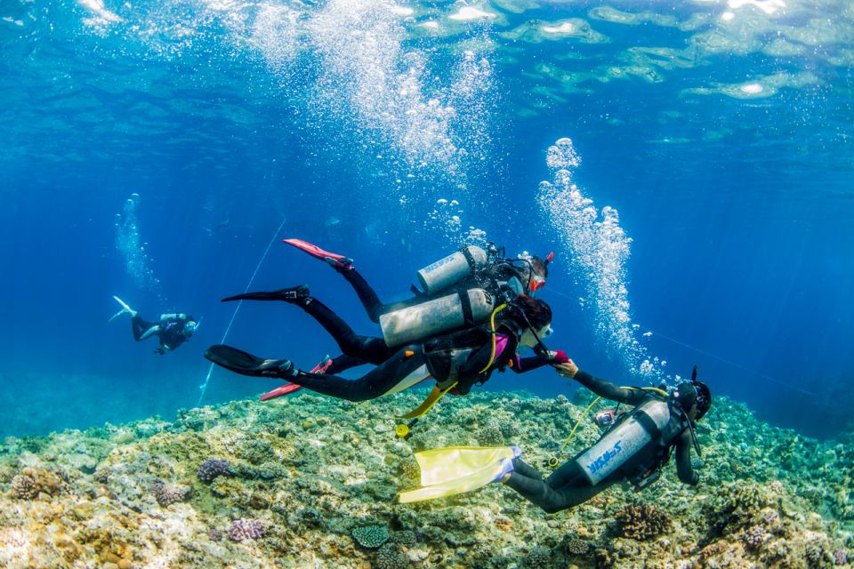 Naha, Okinawa: Kerama Islands Full-Day Intro-Diving Trip - Safety Measures