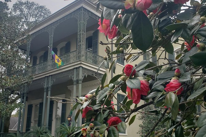 New Orleans Garden District Walking Tour Including Lafayette Cemetery No. 1 - Visitor Recommendations