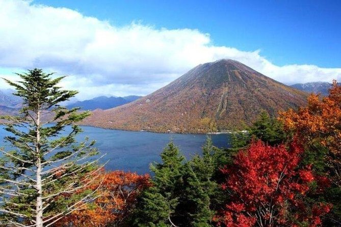 Nikko Full-Day Private Tour With Government-Licensed Guide - Meet Up and Transportation Details