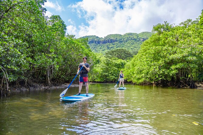 [Okinawa Iriomote] Sup/Canoe Tour in a World Heritage - Sum Up