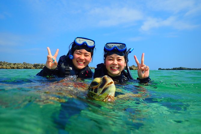 [Okinawa Miyako] Swim in the Shining Sea! Sea Turtle Snorkeling - Common questions