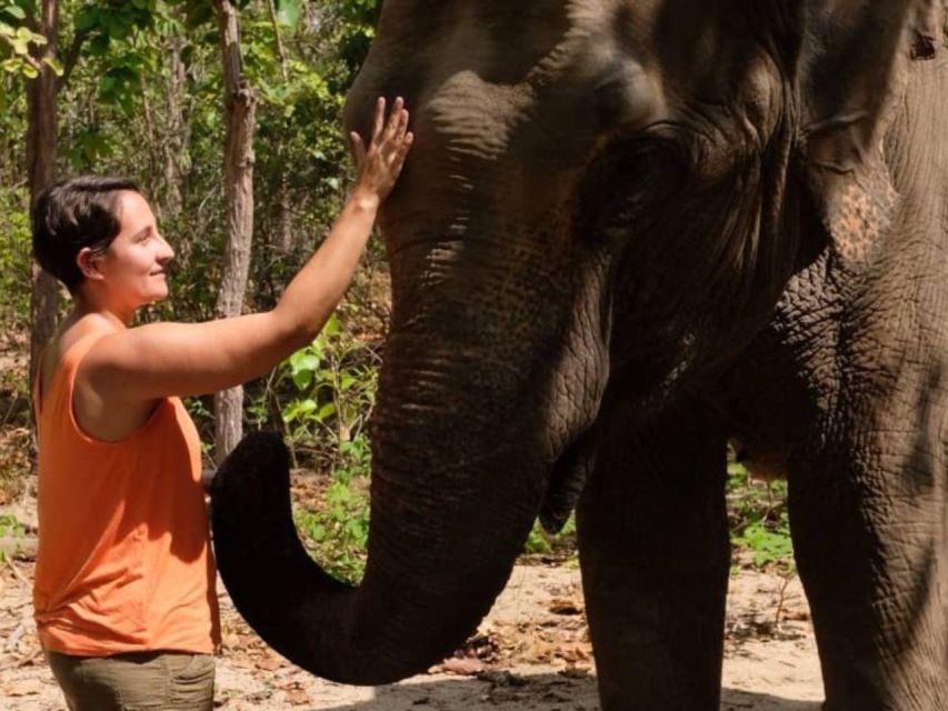 Phnom Tamao Wildlife Center, Buddha Kiri Cambodia Day Tour - Professional Guidance and Return Journey