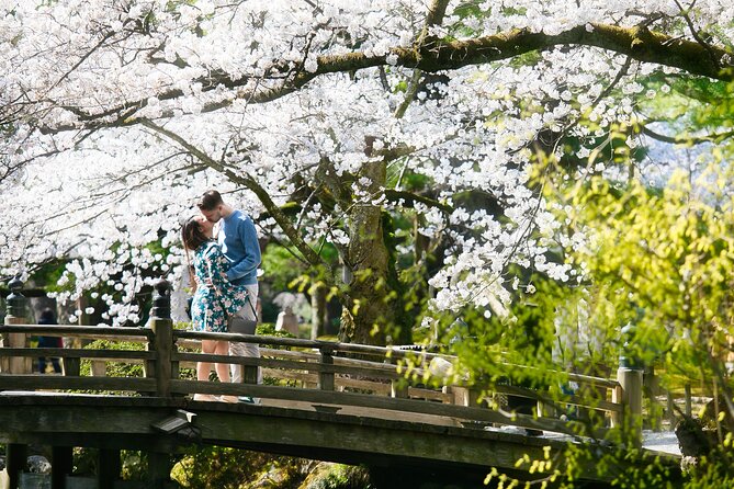 Photoshoot Session by Professional Photographer in Kanazawa - Sum Up