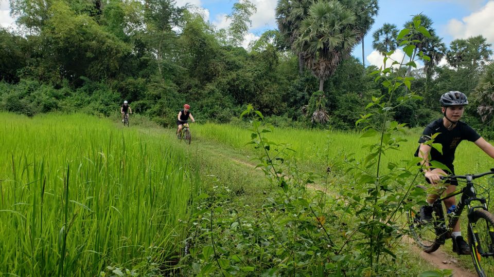 Private Angkor Wat Bike Tour - Highlights