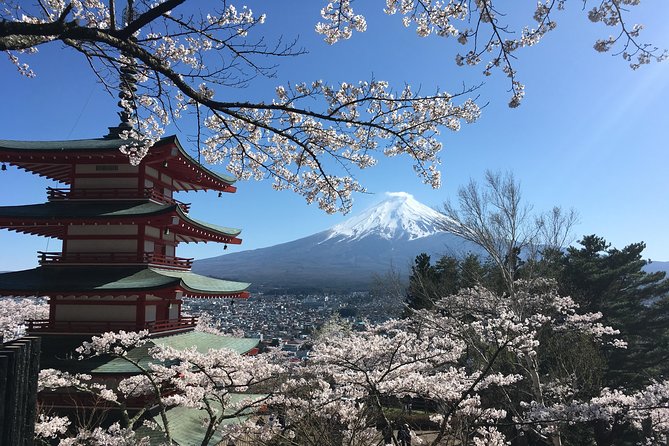 Private Car Mt Fuji and Gotemba Outlet in One Day From Tokyo - Cancellation Policy