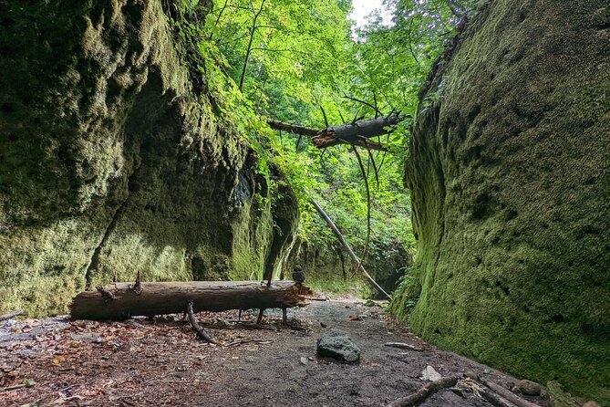 Private Day Trip of Lake Shikotsu and Moss Canyon - Sum Up