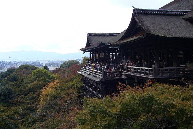 Private Highlights of Kyoto Tour - Transportation and Cancellation Policy
