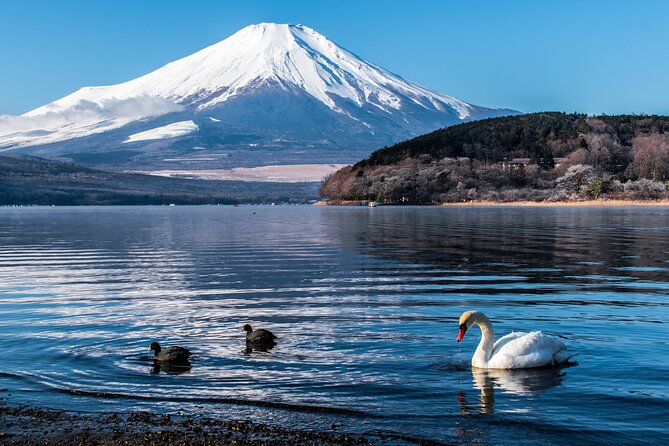 Private Mount Fuji Tour With English Speaking Chauffeur - Common questions