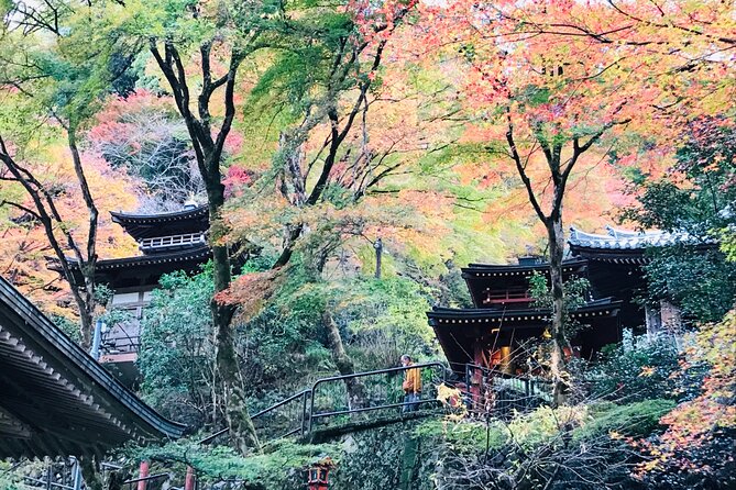 Private Walking Tour in Bamboo Forest & Hidden Spots in Arashiyama - Sum Up