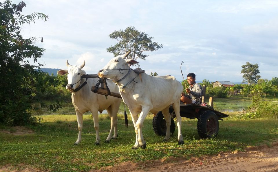 Siem Reap: 6-Hour Easy Rider Motorbike Tour - Common questions