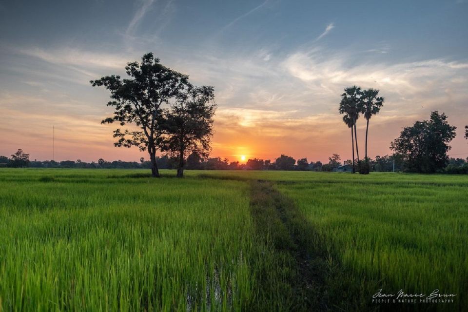 SiemReap Sunset Dinner Riding an Ox-Cart at Rice Paddy Field - Directions