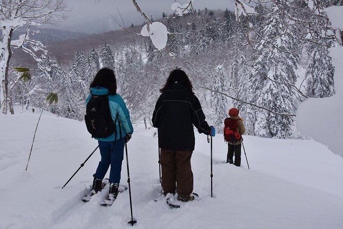 Snowshoe Hike Tour From Sapporo - Common questions