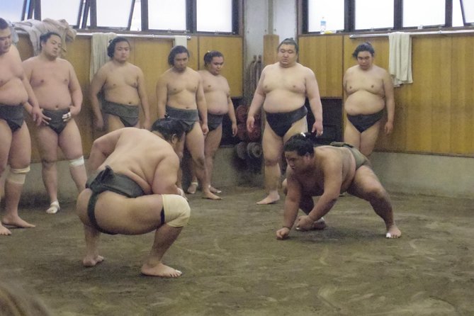 Tokyo Sumo Morning Practice Tour at Stable - Sum Up