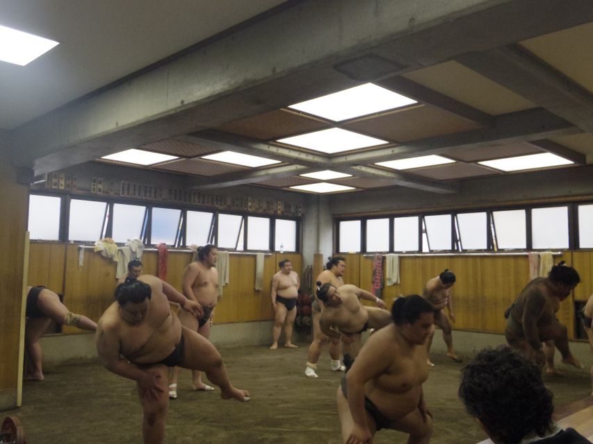 Tokyo: Sumo Morning Practice Viewing Tour - Tour Highlights