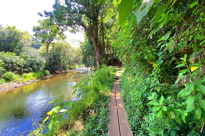 Wailua River and Secret Falls Kayak and Hiking Tour on Kauai - Hiking to Secret Falls