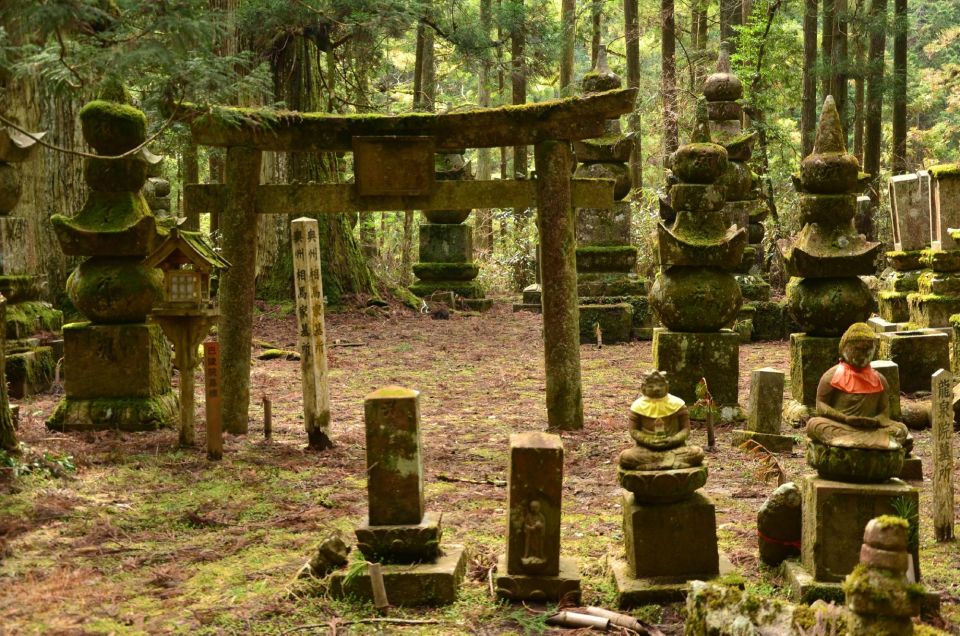 Wakayama: Mt. Koya Private Walking Tour With Local Guide - Accessibility and Personalization