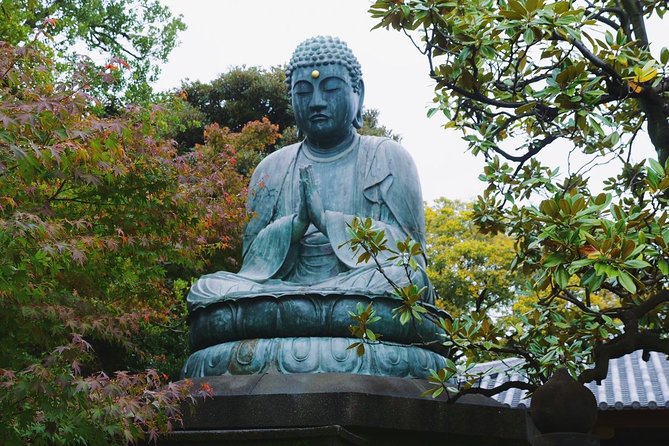 Yanaka Walking Tour - Tokyo Old Quarter - Booking Information