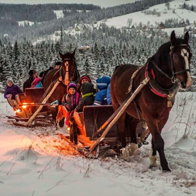 Zakopane: Horse-Drawn Rides With Local Guide & Food Tasting - Overall Experience & Atmosphere