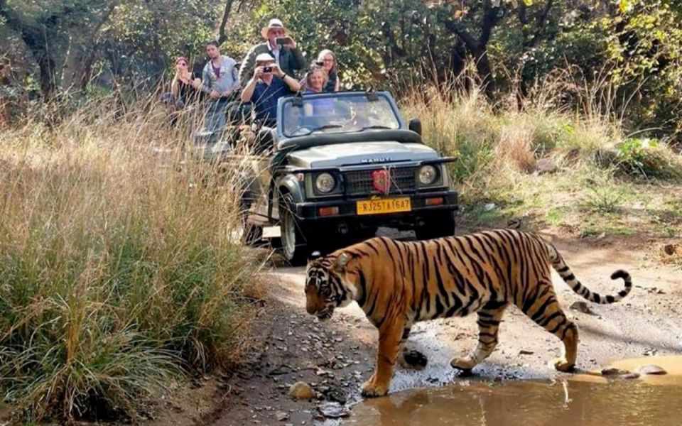 7-Day Golden Triangle Tour With Ranthambore Tiger Safari - Just The Basics