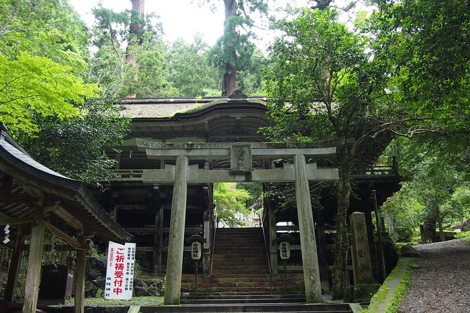 1 Day Hiking Tour in the Mountains of Kyoto - Sum Up