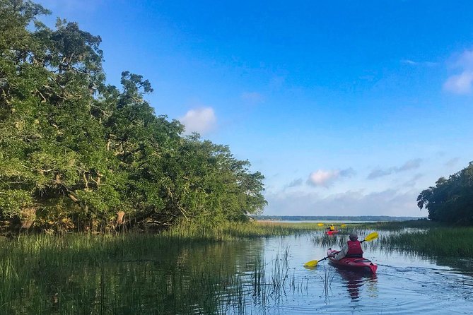 2-Hour Hilton Head Guided Kayak Nature Tour - Customer Experiences