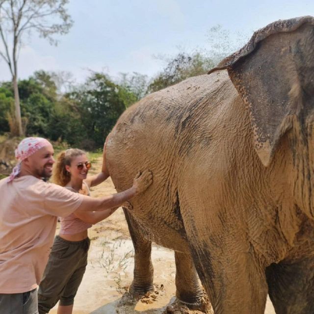 Cambodia Elephant Sanctuary and Banteay Srey Temple Tour - Banteay Srey Temple Exploration