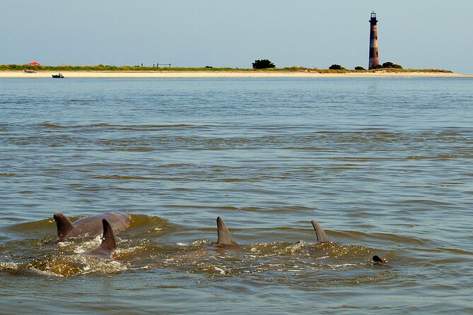 Charleston Marsh Eco Boat Cruise With Stop at Morris Island Lighthouse - Customer Experiences