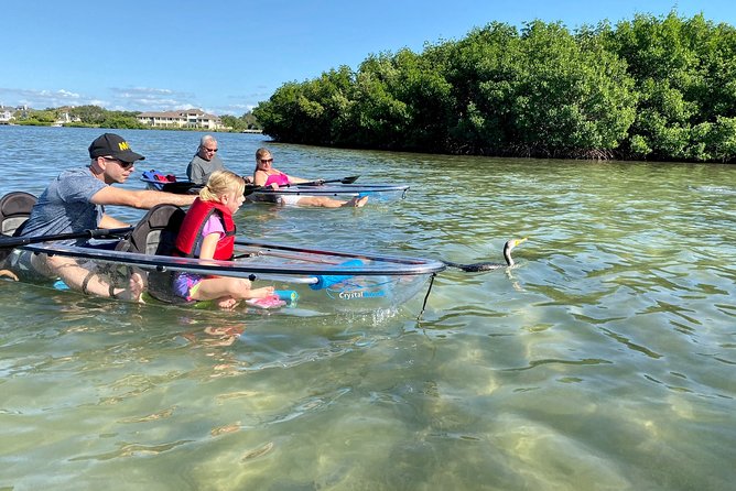 Clear Kayak Tour of Shell Key Preserve and Tampa Bay Area - Common questions