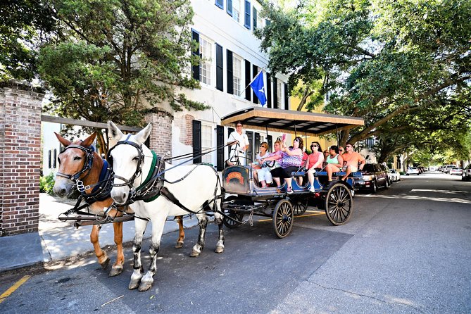 Daytime Horse-Drawn Carriage Sightseeing Tour of Historic Charleston - Sum Up