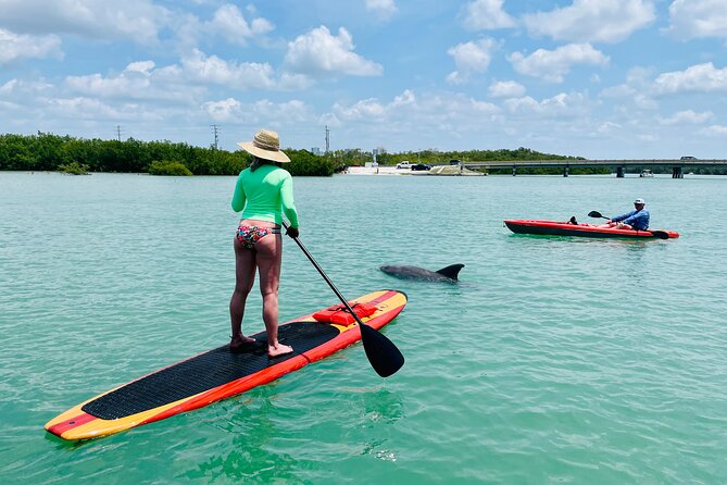 Dolphin and Manatee Adventure Tour of Fort Myers - Sum Up