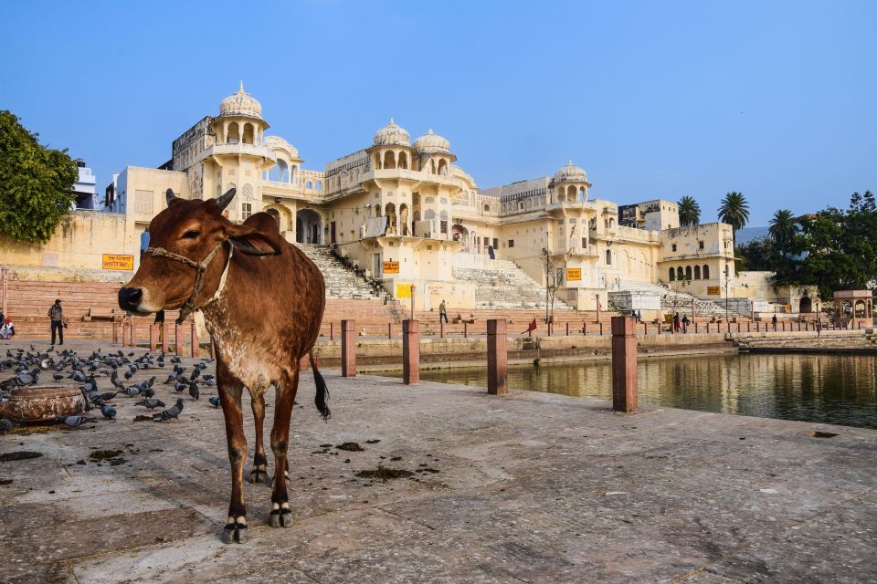 Explore 3-Day Golden Triangle Tour With Hotels From Delhi - Flexible Cancellation Policy