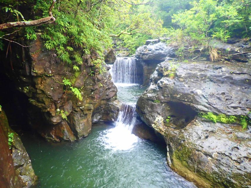 Iriomote Island: Guided 2-Hour Canyoning Tour - Sum Up