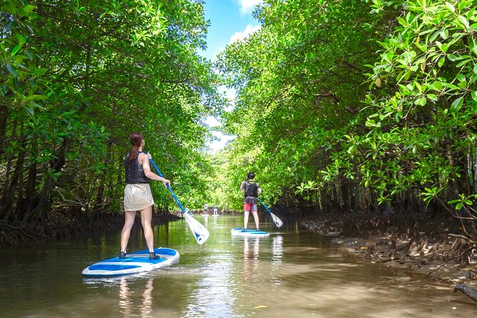 Iriomote Sup/Canoe in a World Heritage&Limestone Cave Exploration - Sum Up