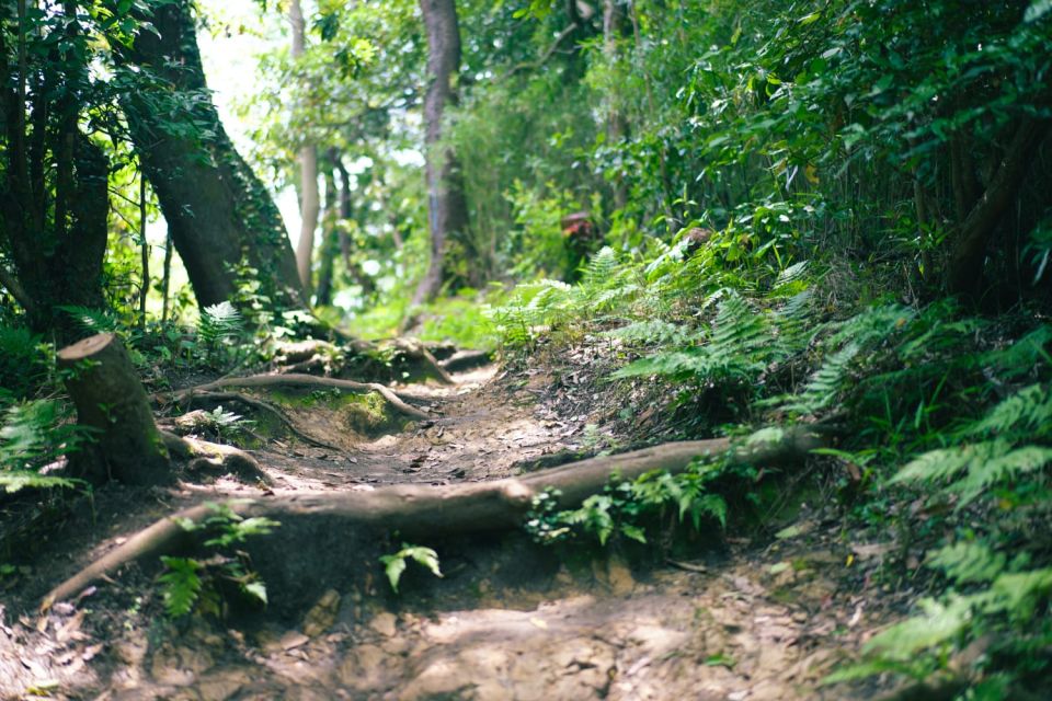 Kamakura Historical Hiking Tour With the Great Buddha - Dining Note and Requests