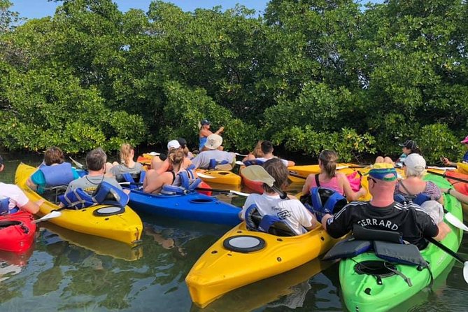 Key West Mangrove Kayak Eco Tour - Sum Up