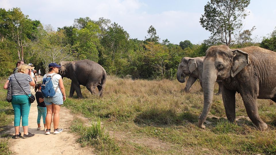 Kulen Elephant Forest & 1000 Lingas River Bed - Last Words