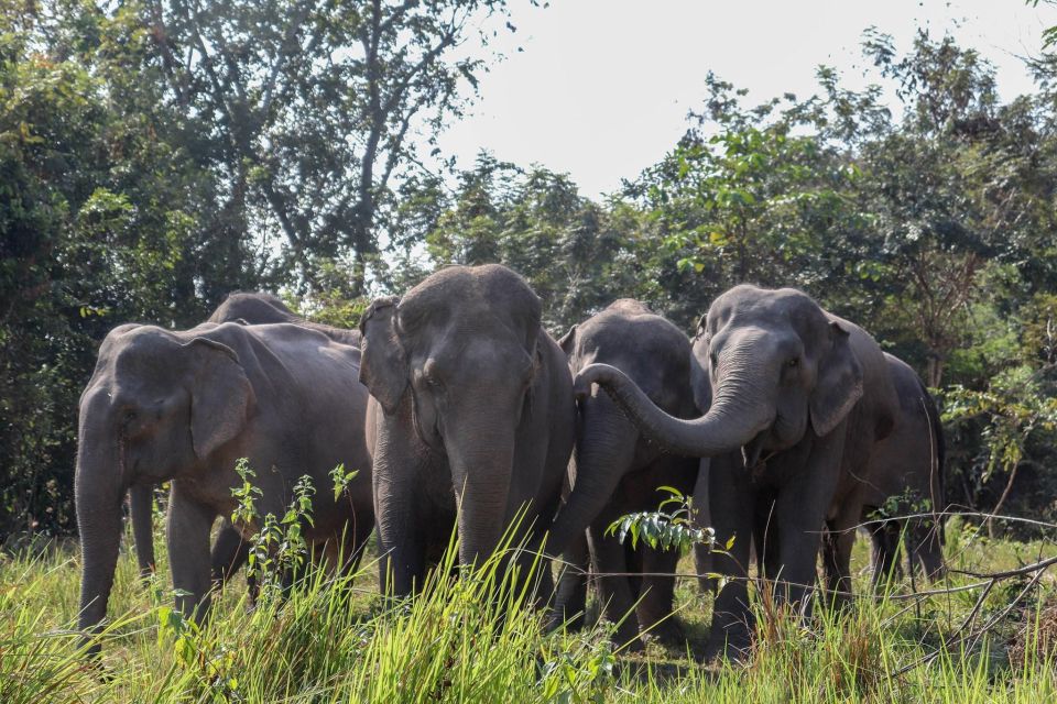 Kulen Elephant Forest & Tonlesap Lake - Scenic Views of Tonle Sap Lake