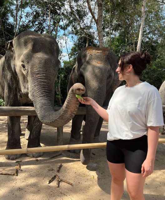 Kulen Elephant Siem Reap Forest in Small Group Tour - Common questions