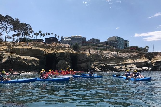 La Jolla Sea Caves Kayak Tour (Single Kayak) - Sum Up