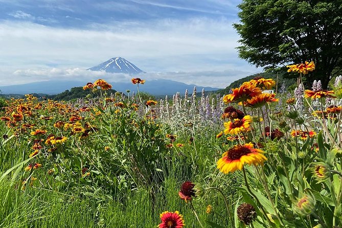 Lake Kawaguchiko Bike Tour - Booking Information